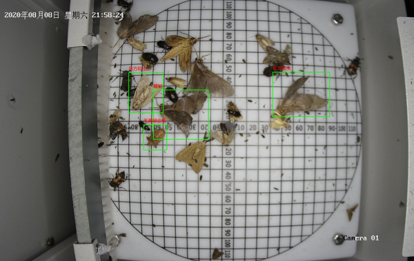 远程拍照式虫情测报灯图片3