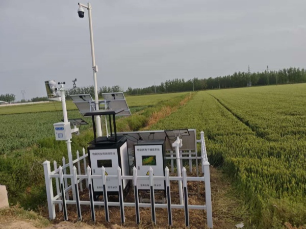 宿迁病害虫情项目图片2