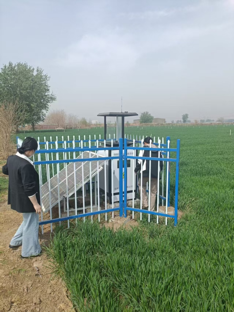 河北栾城虫情测报灯项目图片2