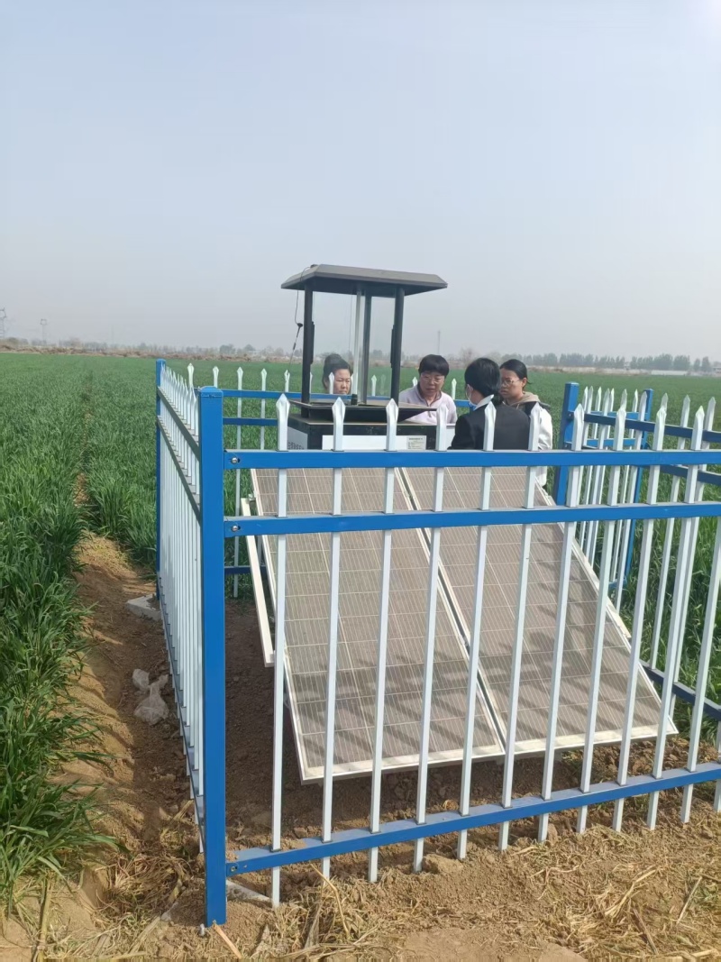 河北栾城虫情测报灯项目图片4