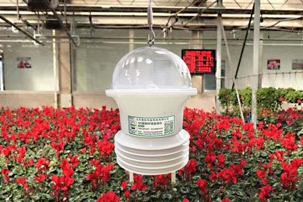 “智能花蓝”4G环境数据监测仪