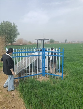 河北栾城虫情测报灯项目