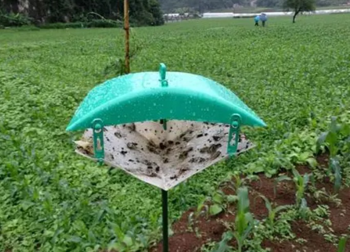 MC-YBQa小菜蛾诱捕器